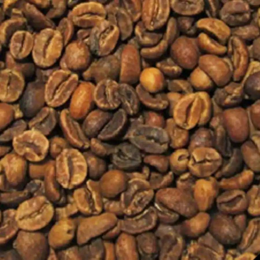 Aged Green Coffee Beans