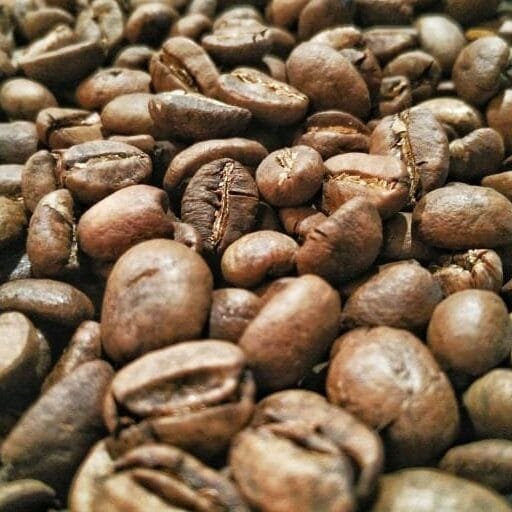 Indonesian Wild Civet Coffee Beans