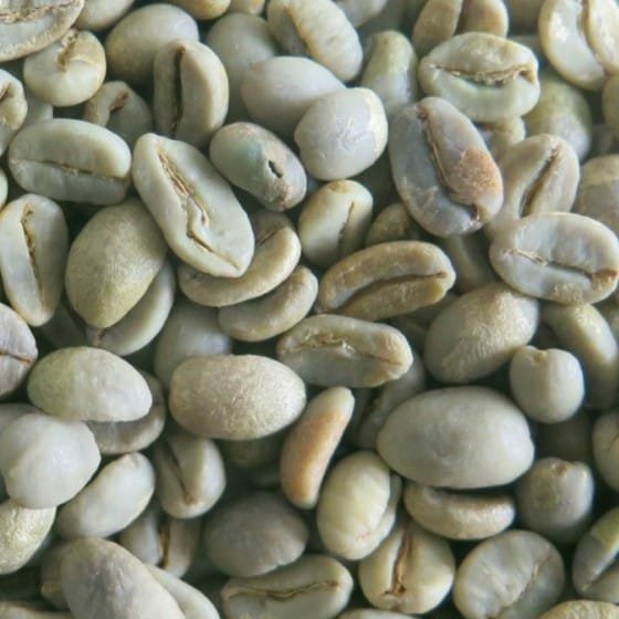 Blue Batak Green Beans Coffee