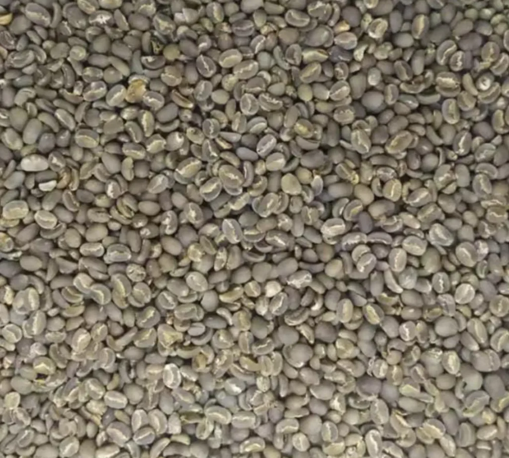 Flores Highland Arabica
