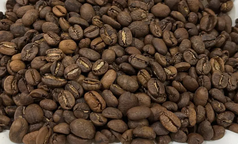 Flores Highland Arabica