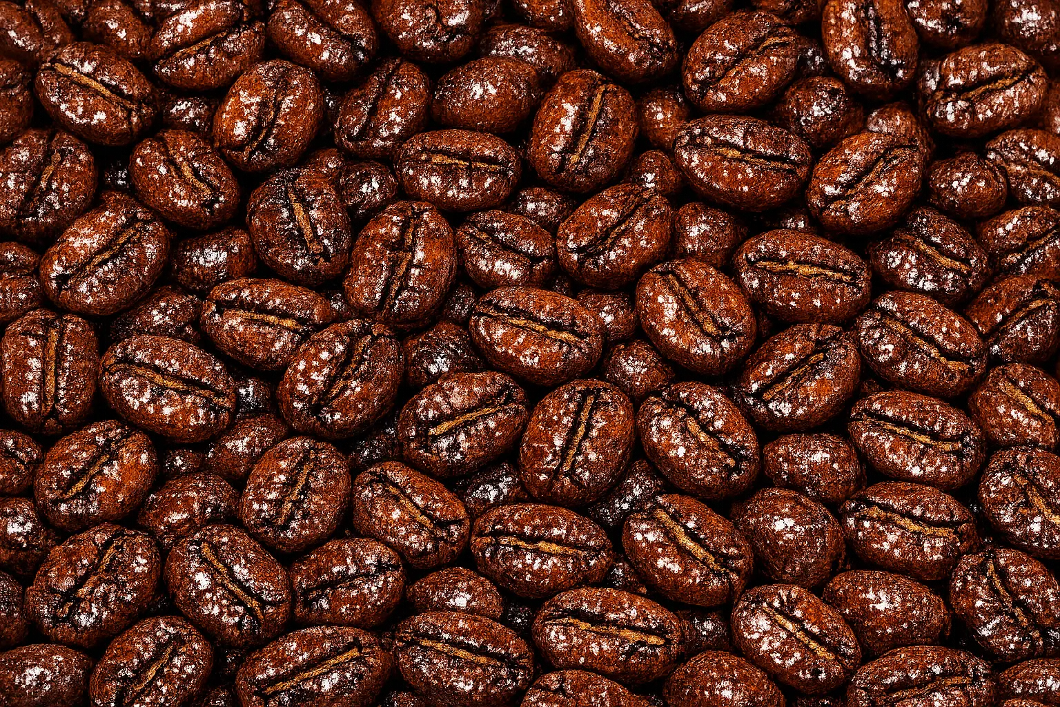 Gayo Honey Roasted Coffee Beans