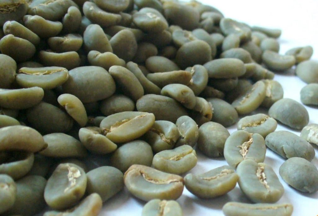 Sumatra Ember Velvet Bean