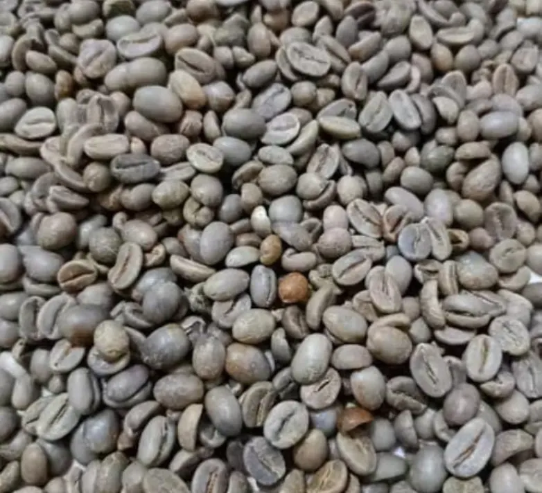 Java Ijen Volcanic Arabica