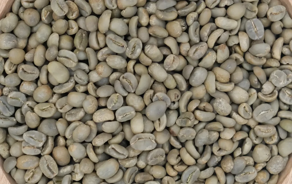 Kopi Luwak Green Coffee Beans