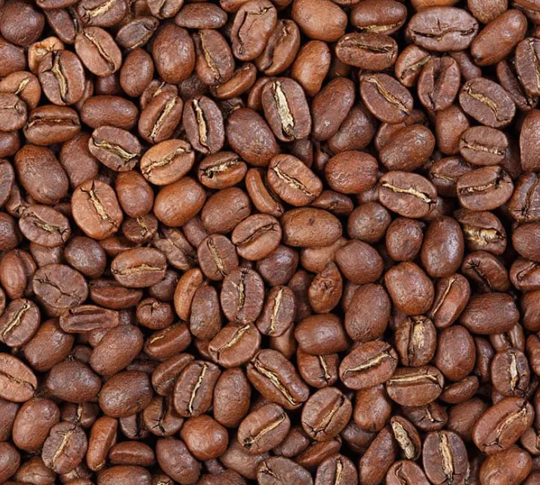 Gayo Coffee Beans: Green Bean QC, Cupping & Wholesale Sourcing Guide for Roasters