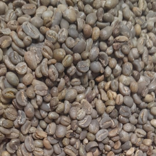 Gayo Coffee Beans: Leveraging AI Farm Intelligence for Precision Sourcing & Traceability